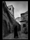 vincitore